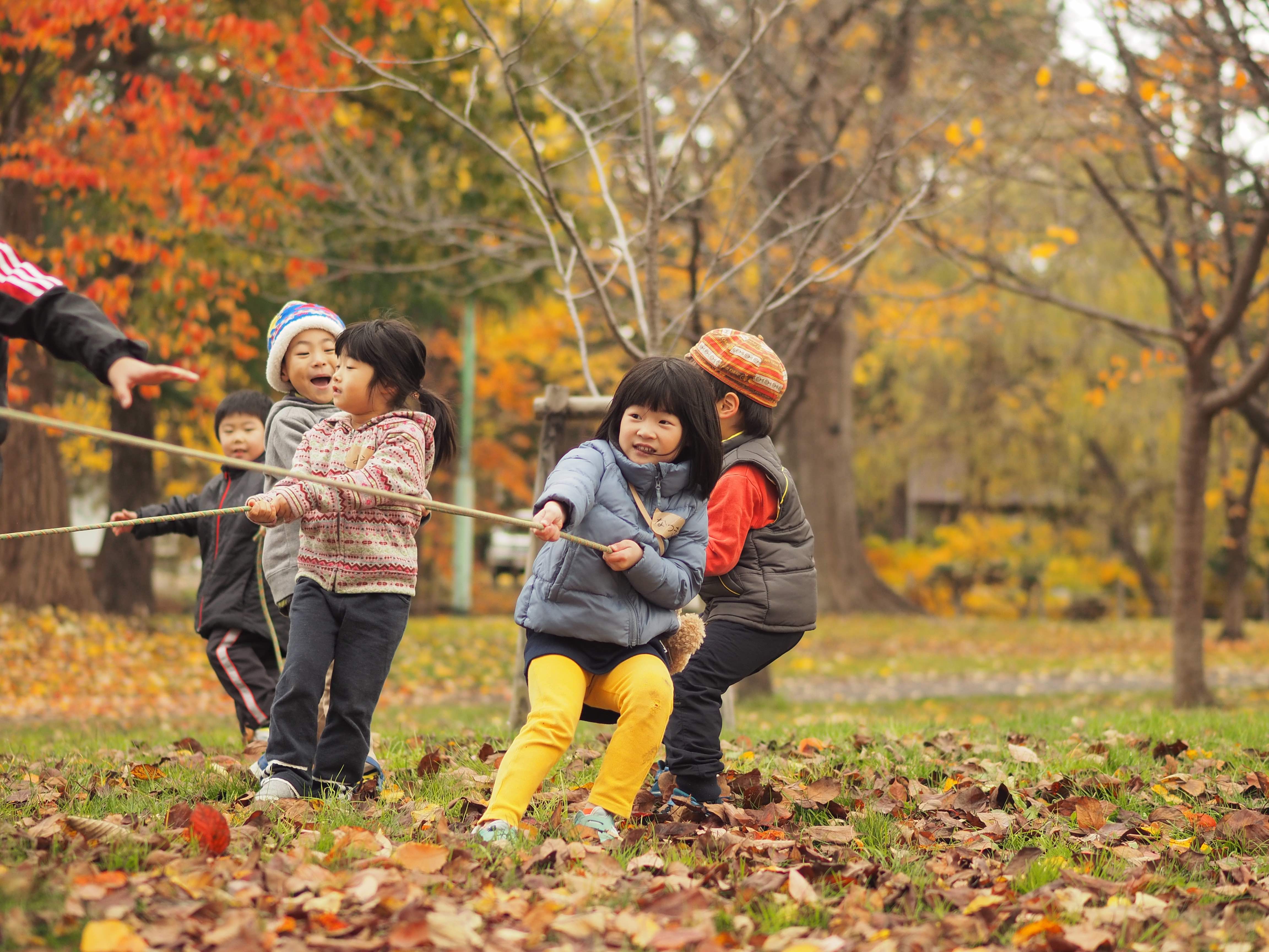 ときわプレーパーク