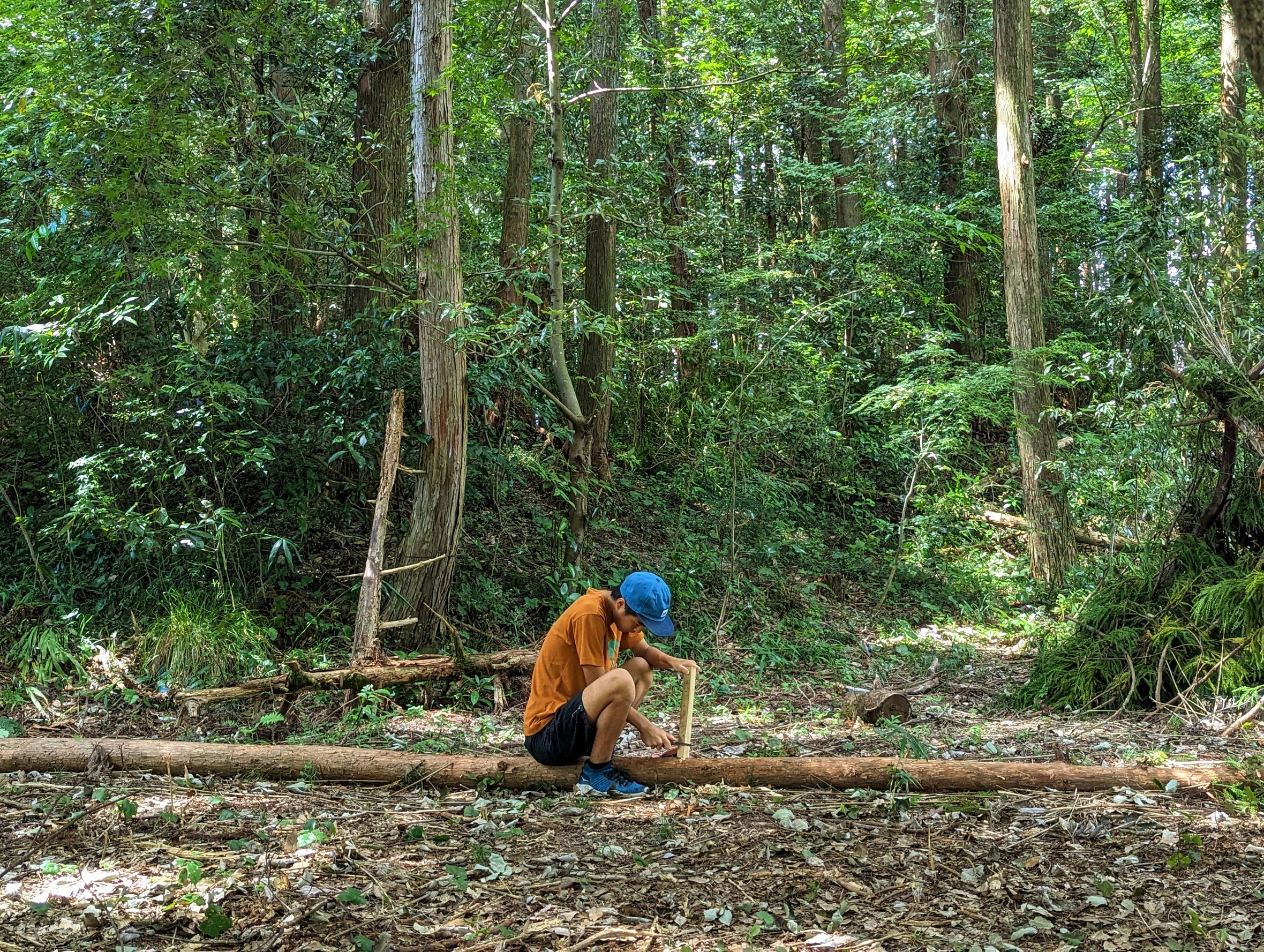 根尾川むいむいの森ユースセンター