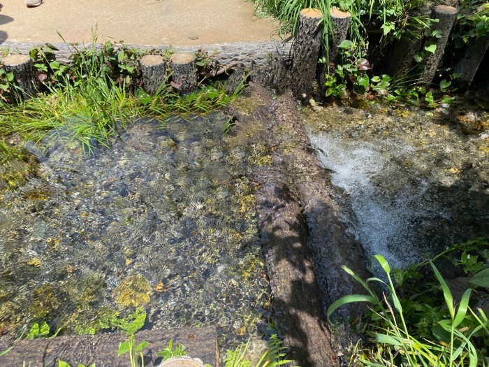 こくぶんじ青空ひろば（西恋ヶ窪若松公園）