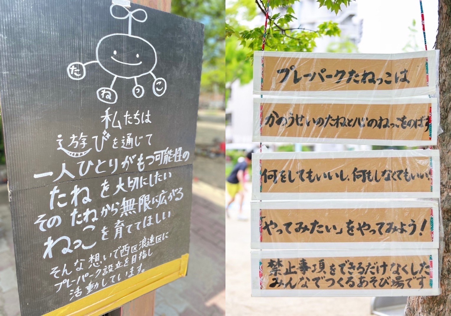 プレーパークたねっこ