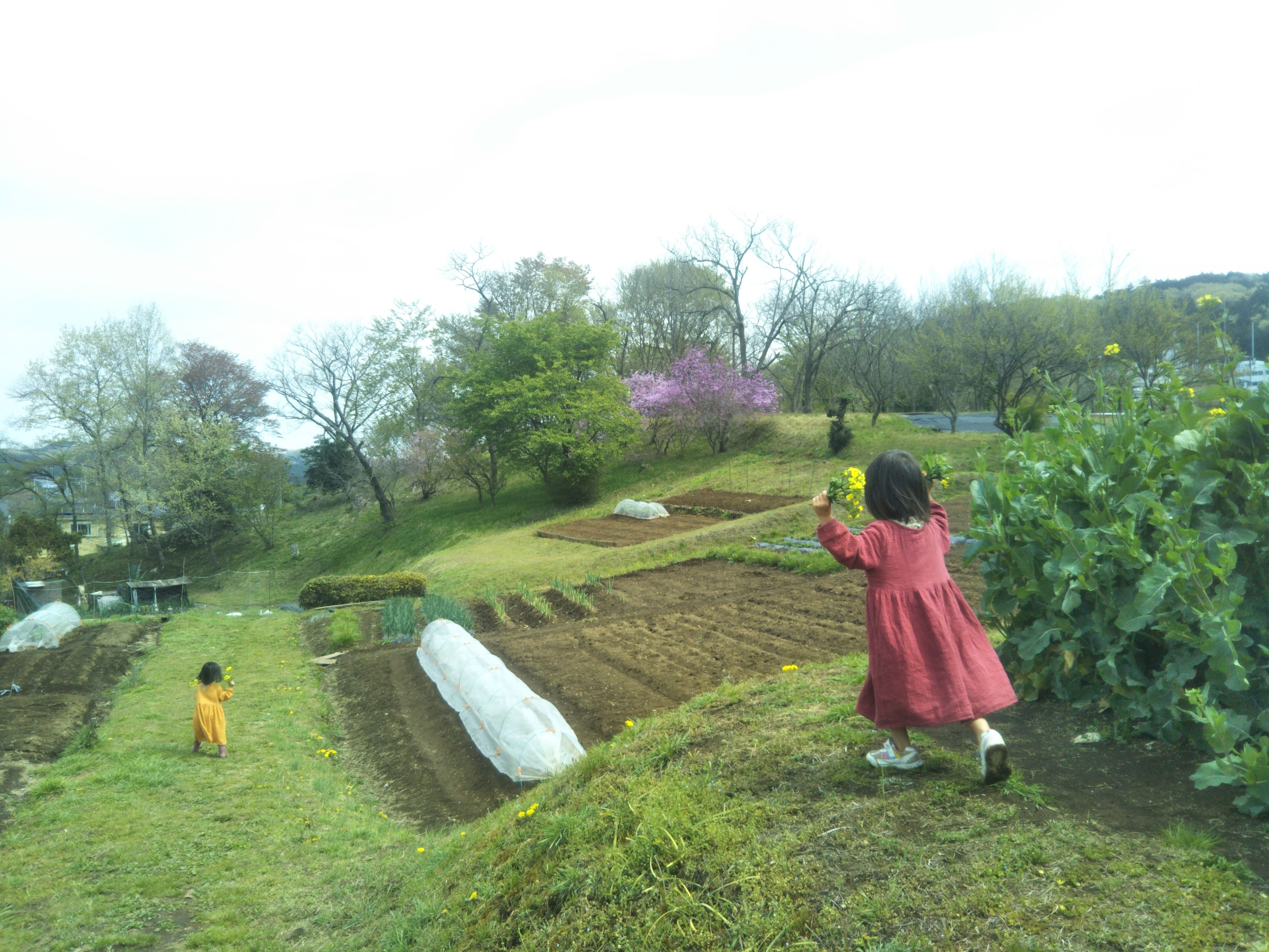 かぷかぷ山のようちえん