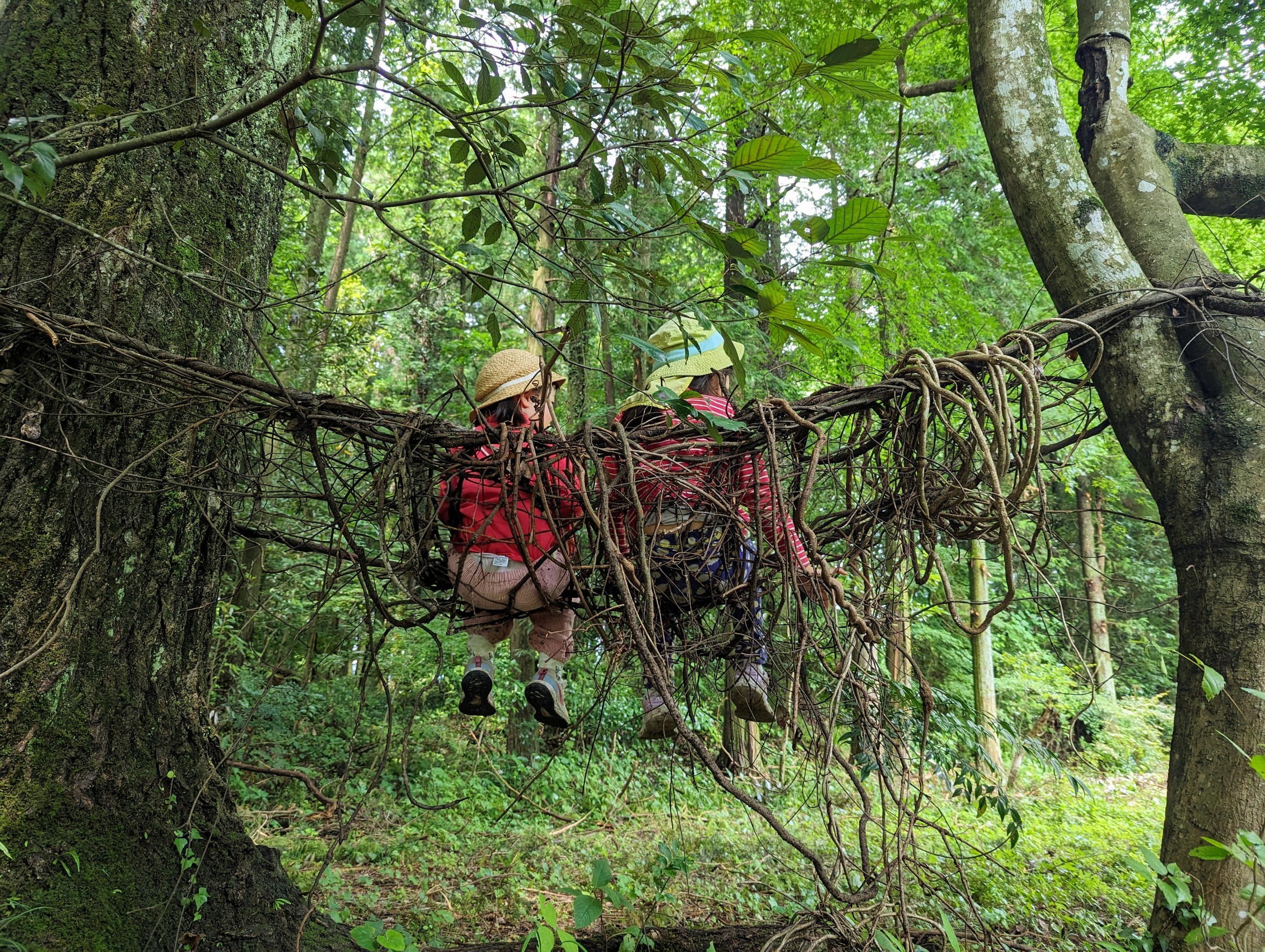 根尾川むいむいの森ユースセンター