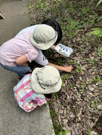 町田山崎団地冒険あそび場