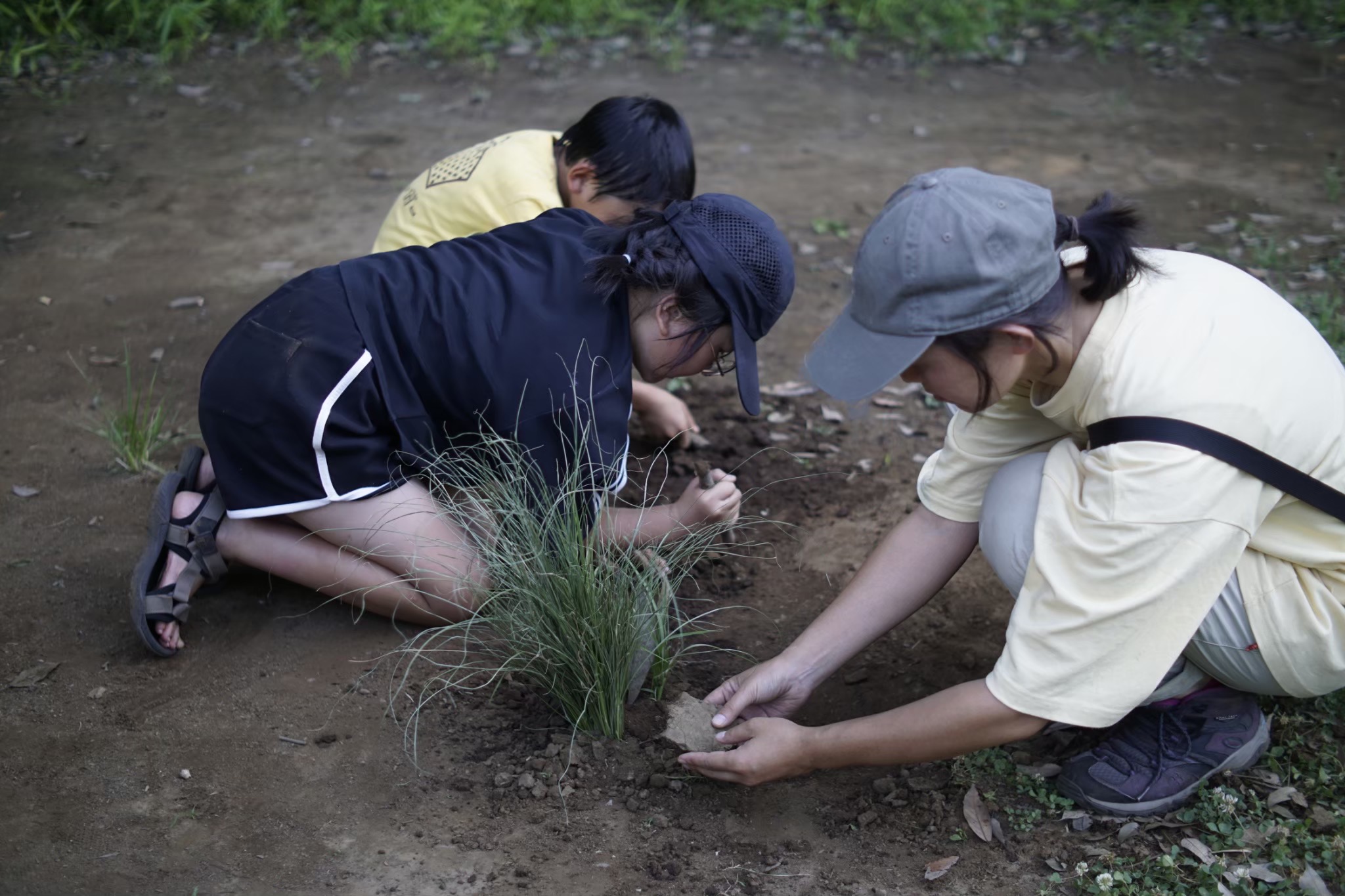 ぞうきばやしのプレーパーク