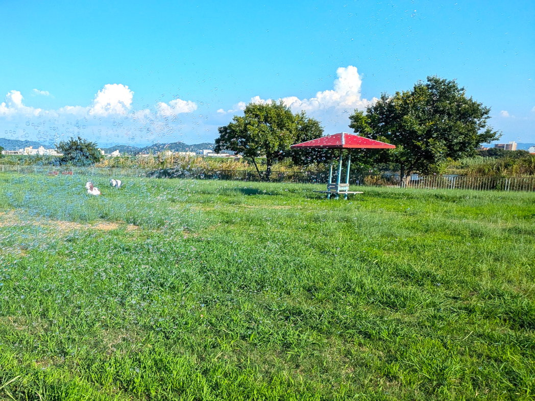  シャボン場プレーパーク第8緑地