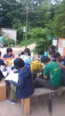 てんぱくプレーパーク