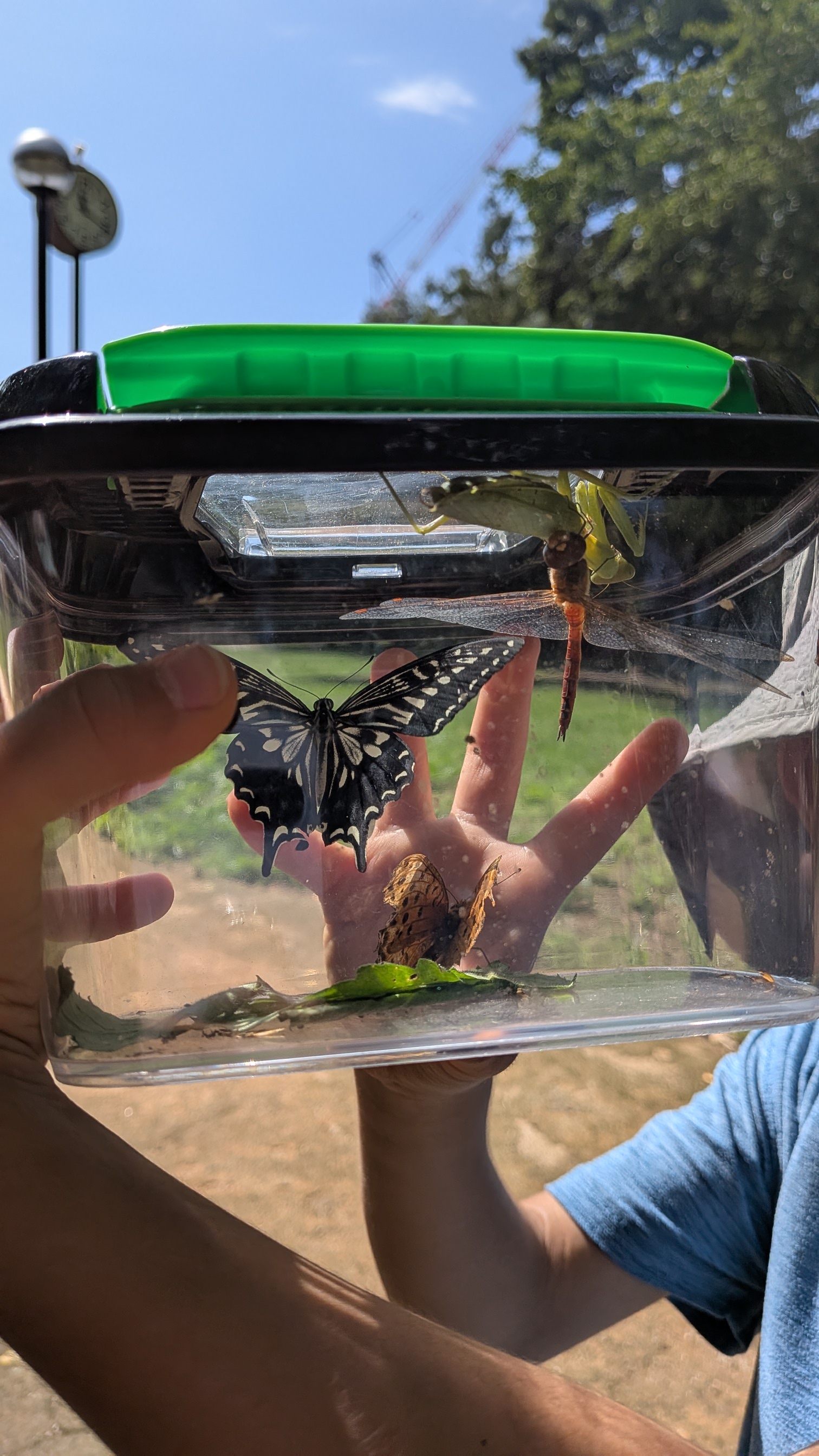 井戸端プレーパーク