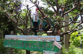 渋谷はるのおがわプレーパーク