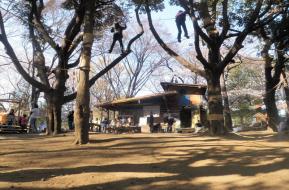 羽根木プレーパーク