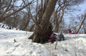 ちょこっとプレーパーク in 円山公園