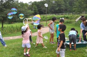 やしろの森冒険ひろば