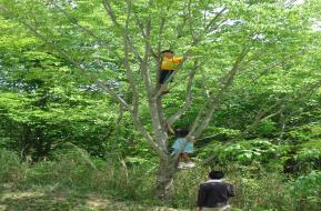 ひろせ冒険遊び場