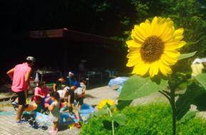 いかわプレーパーク