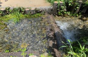 こくぶんじ青空ひろば（西恋ヶ窪若松公園）
