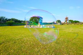  シャボン場プレーパーク第8緑地